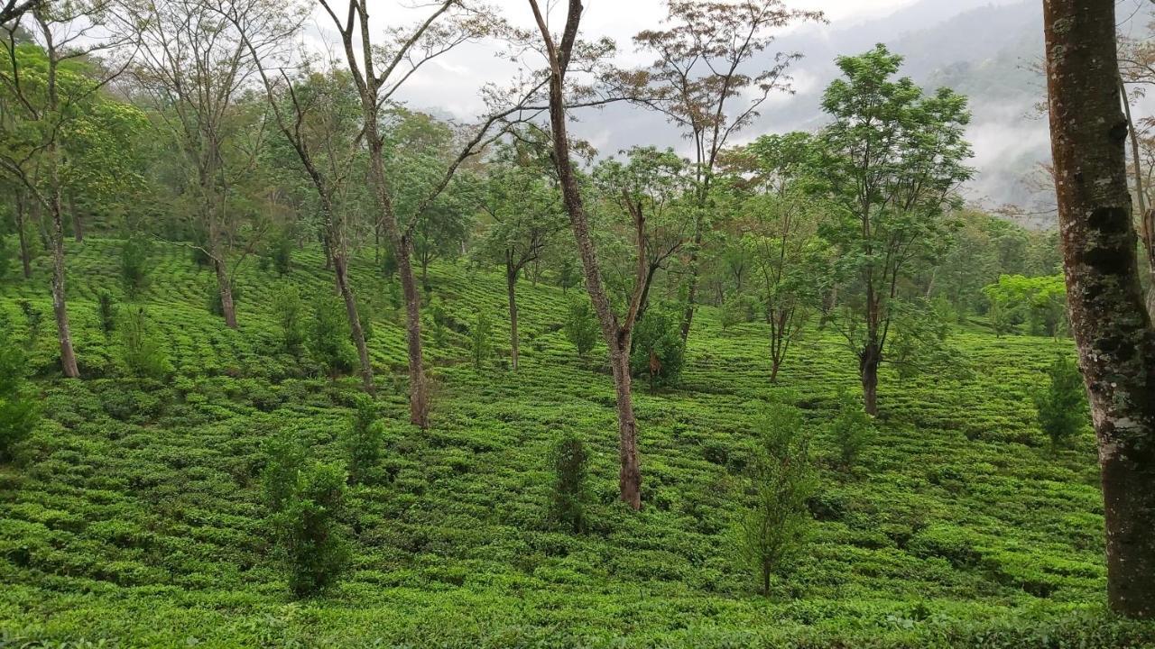 Eviana Homestay Darjeeling (West Bengal) Exterior foto