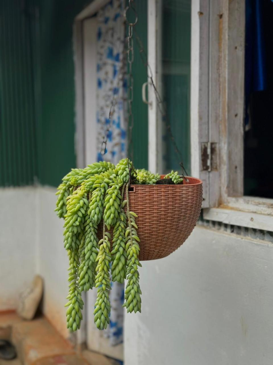Eviana Homestay Darjeeling (West Bengal) Exterior foto